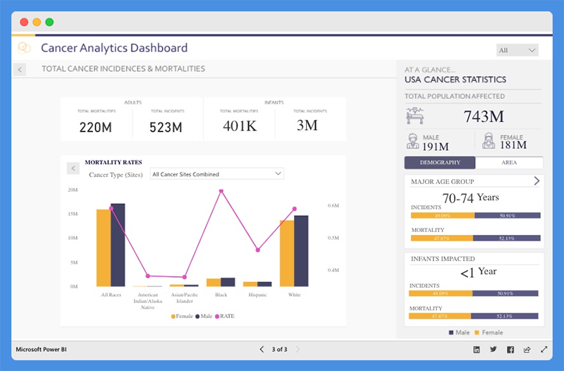 power bi presentation examples