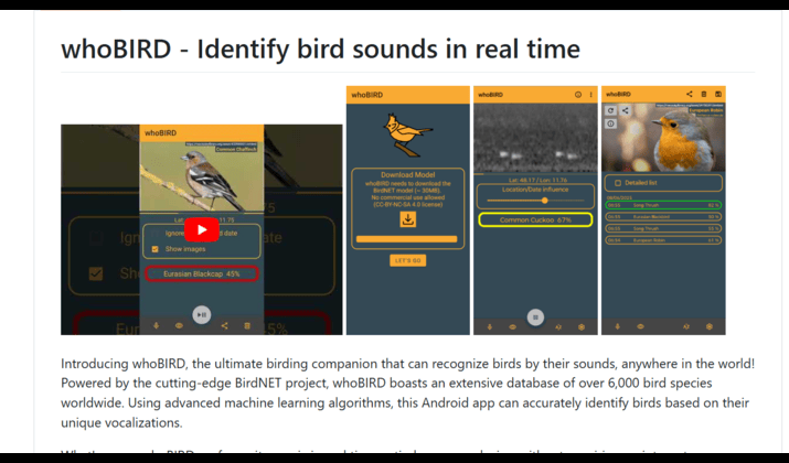 whoBIRD AI bird song recognition